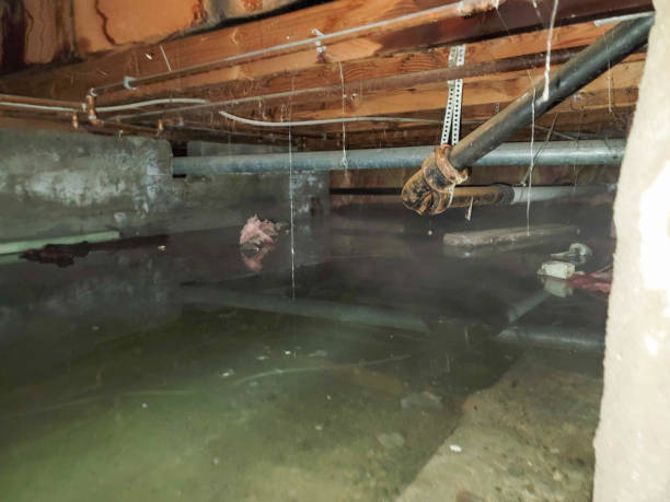 Best Commercial water damage restoration  in Osseo, WI