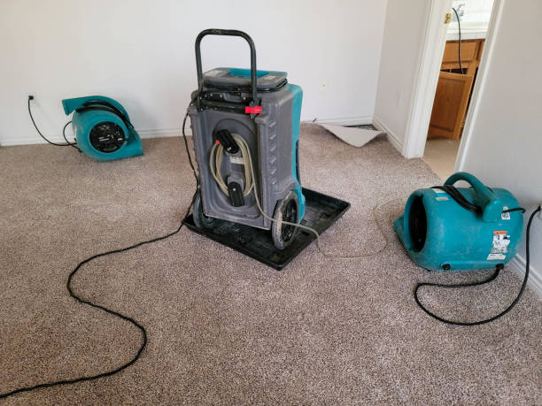 Best Sewage cleanup and water damage restoration  in Osseo, WI