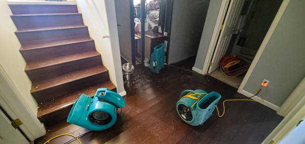 Best Carpet water damage restoration  in Osseo, WI