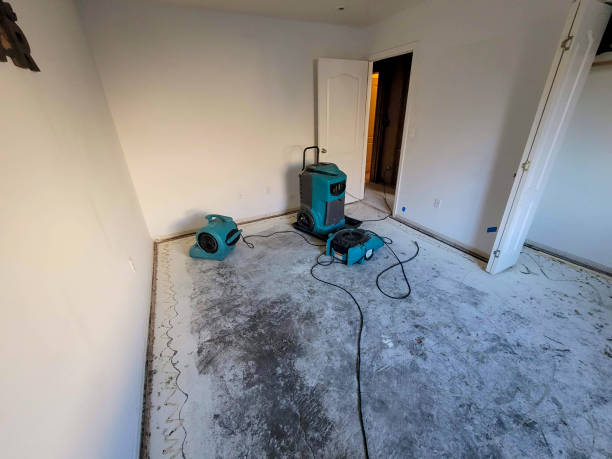 Best Water damage restoration near me  in Osseo, WI
