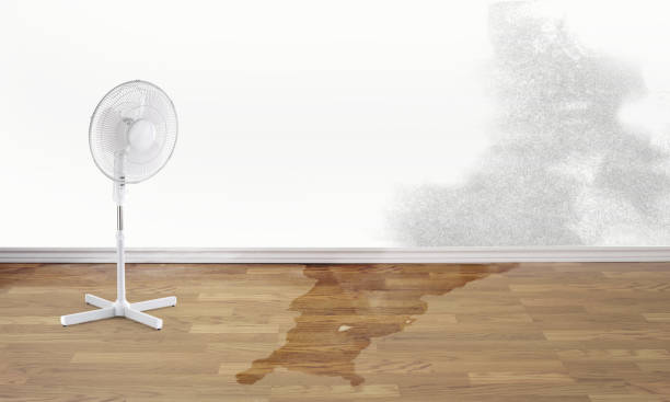 Best Flood damage cleanup  in Osseo, WI