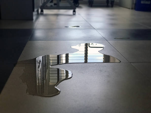 Best Professional water damage repair  in Osseo, WI