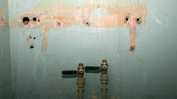 Best Ceiling water damage repair  in Osseo, WI