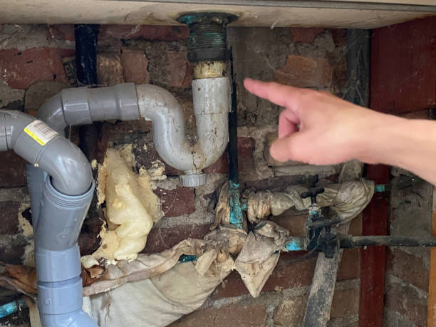 Best Carpet water damage restoration  in Osseo, WI