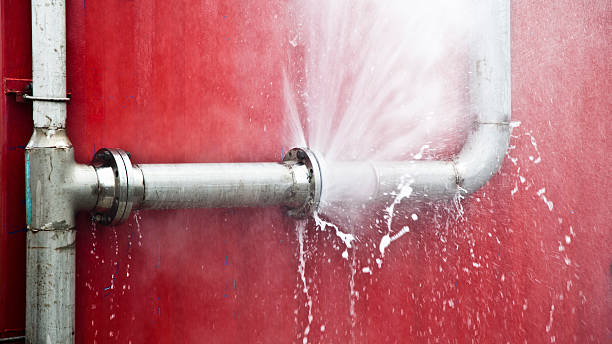 Best Water damage contractors near me  in Osseo, WI